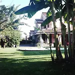 Luconi Ези