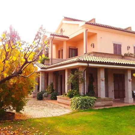 Luconi 3*
