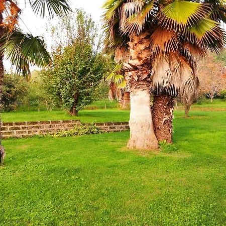 بيت ضيافة Luconi 3*