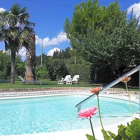 Luconi Jesi