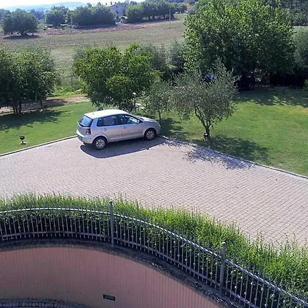 Luconi Jesi