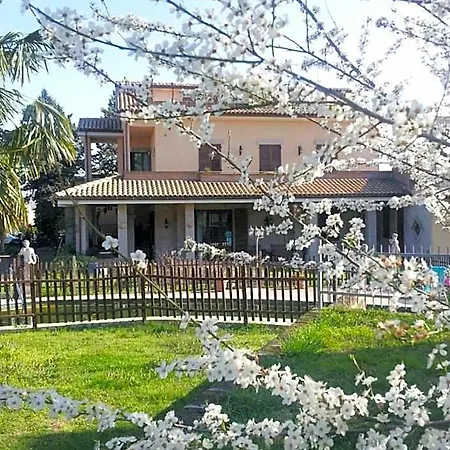 Pensionat Luconi 3*