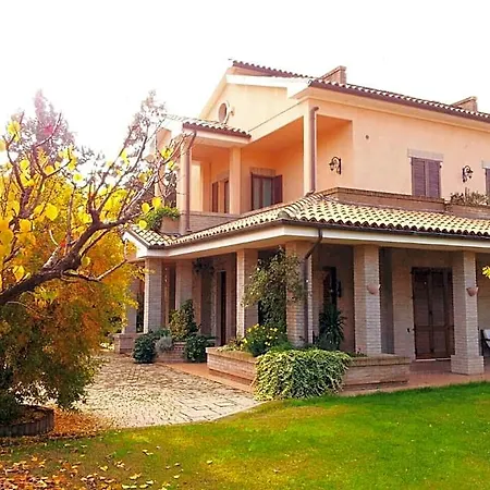 Luconi 3*