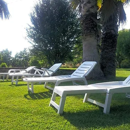 Luconi Jesi