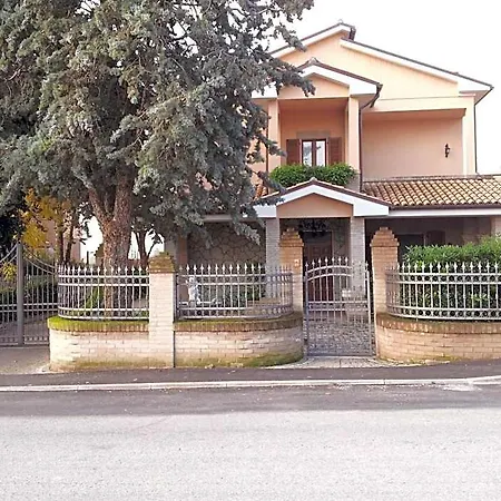 Luconi Jesi