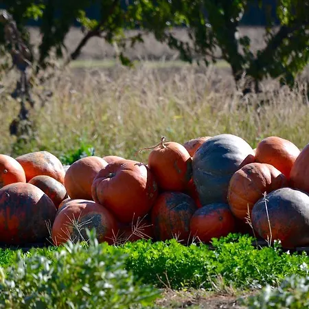 بيت ضيافة Luconi