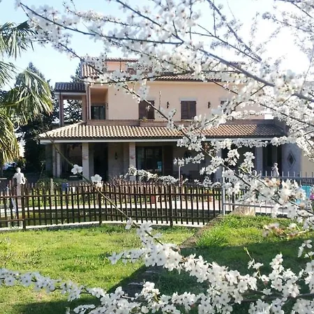 Gasthof Luconi Jesi